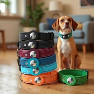 Luxury Custom Nylon Adjustable Training <strong>Gps</strong> Tracker Nylon Air Tag Airtag <strong>Dog</strong> Pet <strong>Collars</strong> With Airtag Holder - Product Image 6