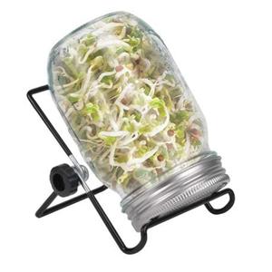 Bocaux en verre Mason de 500 ml, 750 ml, 1000 ml avec couvercle et pailles, vides, pour la mise en conserve, le miel, la confiture et le stockage alimentaire - Product Image 1