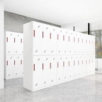 Casier de rangement pliable en métal ignifuge avec serrure à clé pour bureau, maison, école, salle de sport, hôtel, entrepôt, sous-sol, usage extérieur