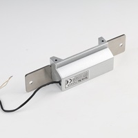 Cerradura Eléctrica de Panel Mediano para Puerta con Cavidad de Pestillo Ensanchada 12VDC