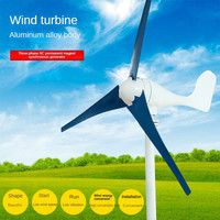Éolienne domestique horizontale 800W 1KW 12V, énergie propre résidentielle, petite éolienne portable