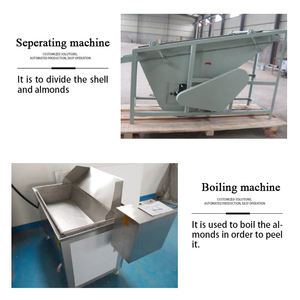 Hạt Hồ Trăn Máy Chế Biến Hạt Khác Hạt Thông Dây Chuyền Lắp Ráp Hoàn Chỉnh Gia Vị Nướng Vỏ Và Bóc Vỏ Hạt Hồ Trăn - Product Image 4