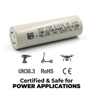 Batterie Li-ion haute performance 21700 P42A 3.6V 4000mAh 45A pour applications robotiques, automatisation et alimentation industrielle - Product Image 1