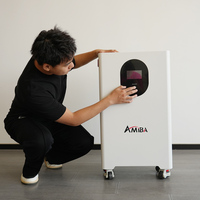 Batterie au phosphate de fer et de lithium 51,2V 48V 200Ah 300Ah 314Ah 15KWh 16KWh, batterie murale solaire LiFePO4, stockage d'énergie domestique