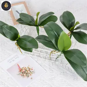 E448 Phong Lan Lá Nhân Tạo Phalaenopsis Thân Cây Lá Giả Cymbidium Hoa Lá Màu Xanh Lá Cây Bất Cảm Ứng Cao Su Lá