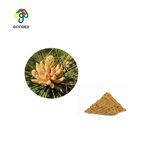 Poudre de pollen de pin sauvage à cellules brisées 20:1 de qualité alimentaire, marque Goodex, extraction liquide-solide, livraison directe – Meilleures ventes - Product Image 3