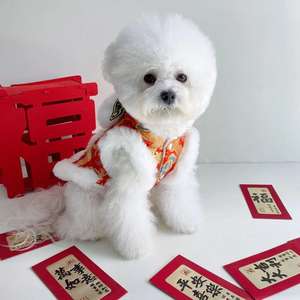 Abbigliamento per Cani Giacca Invernale Imbottita Stile Tang per Cuccioli e Gattini, Vestito per Animali Domestici Stile Tang per Capodanno - Product Image 3