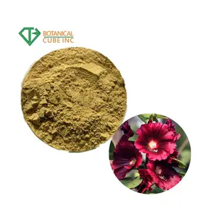 عرض ساخن 100% Althaea rosea (Linn.) كافان. بودرة هوليهوك