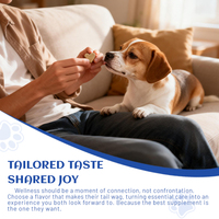 OEM ODM Multivitamines Soins de santé pour animaux Suppléments à mâcher Formule personnalisée Probiotiques naturels Suppléments à mâcher souples pour chiens