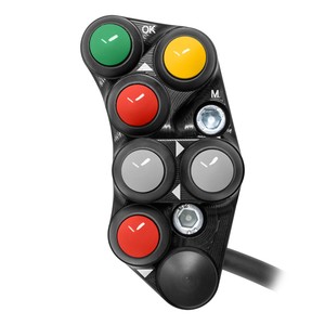 Interruptor de Manillar Izquierdo para Triumph Street Triple 765 R - Product Image 1