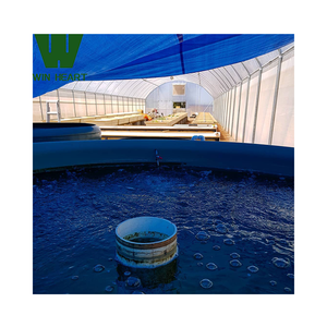 Invernaderos de un solo aro para equipos de acuicultura de cultivo de <span class=keywords><strong>peces</strong></span> y vegetales acuáticos - Product Image 6
