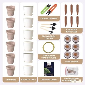 Exótico Premium <span class=keywords><strong>Bonsai</strong></span> Starter Kit Square Flower Pot Design con Master Tool Set para Home Garden <span class=keywords><strong>Bonsai</strong></span> Trees - Product Image 4
