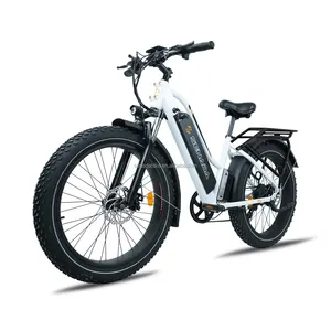 Best Selling Senada E Bike Full Suspension Fat Tire E-bike 48v Electric Fat Bike For Mountain Cycling