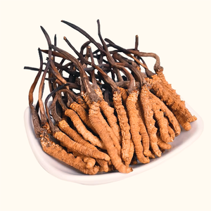 Natural Naqu <span class=keywords><strong>Cordyceps</strong></span> Tibet <span class=keywords><strong>Cordyceps</strong></span> Militaris <span class=keywords><strong>Real</strong></span> organik makanan <span class=keywords><strong>Cordyceps</strong></span> jamur - Product Image 5
