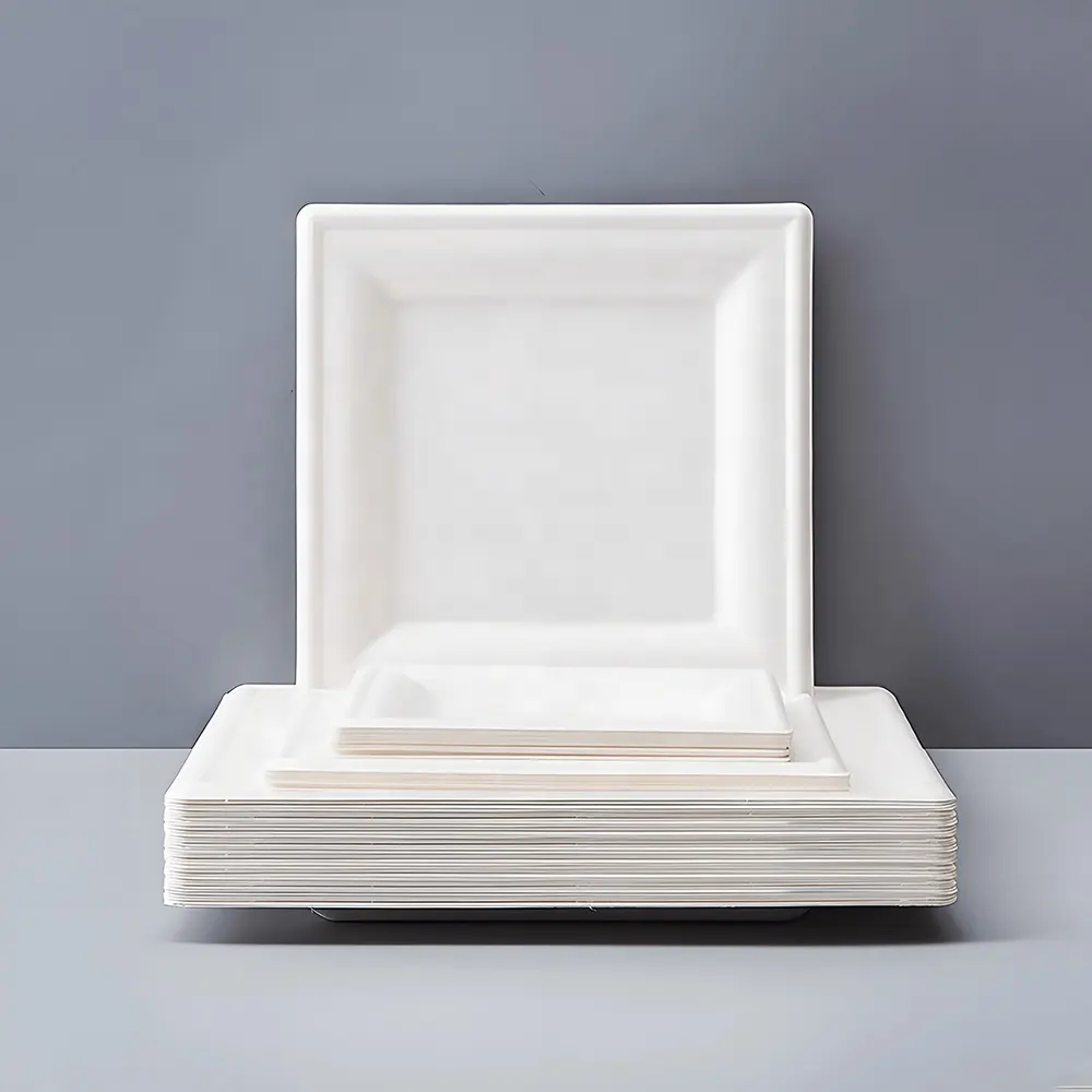 Haute qualité 6 pouces micro-ondes vaisselle plat jetable compostable canne à sucre bagasse assiette en papier carré