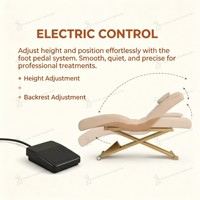 Lit de Massage Électrique de Beauté Faciale à 1 Moteur, Chaise de Table Cosmétique pour Salon de Luxe Moderne Doré, Lit de Spa Facial pour Cils