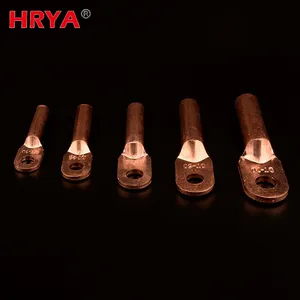 Acid-Cleaning Ring Type Copper Lug Terminals DT Metallic Cable Lugs with Brass and Aluminum Material Options