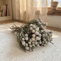 Fleurs séchées en gros tout-en-un : fruits de corail naturels pour arrangements de bouquets DIY, fleurs éternelles pour la décoration de la maison et de mariages