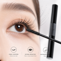 Mascara Allongeant Noir Mat en Gros, Marque Privée OEM/ODM, Fini Brillant, Prêt à la Vente au Détail, Emballage Personnalisé
