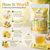 Thé au citron et au gingembre en marque blanche, tisane instantanée, sachets de gingembre au miel, sans caféine, fabrication OEM ODM, vente en gros