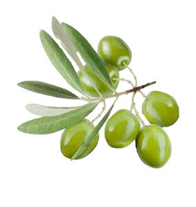 Doğal ek zeytin yaprağı özü zeytin yaprağı kapsülleri zeytin yaprağı sıvı özü <span class=keywords><strong>20</strong></span> <span class=keywords><strong>oleuropein</strong></span> - Product Image 3