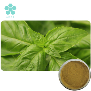 OEM <strong>Natural</strong> Organic 10:1 Ocimum Tenuiflorum Holy <strong>Basil</strong> Leaf <strong>Extract</strong> - Product Image 1