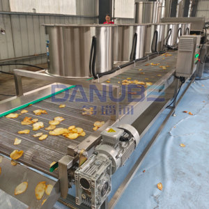 Ligne de découpe et de friture personnalisée pour bananes, manioc et taro – Friteuse continue pour chips de manioc et de taro - Product Image 4