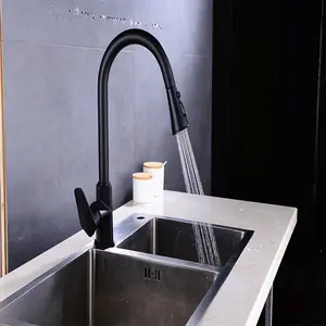 Modern Kitchen faucet stainless steel Chrome kitchen taps pull out 304 kitchen mixer sink water tap