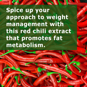 Cápsulas Adelgazantes al por Mayor de Fábrica con Capsaicinoides de Extracto de Pimienta de Cayena que Favorecen la Quema Saludable de Grasa - Cápsulas Dietéticas - Product Image 6