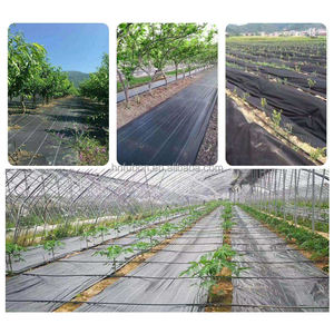 Le tapis de sol en tissu anti-mauvaises herbes pour l'agriculture en PP/PE inhibe les mauvaises herbes et hydrate le sol utilisé pour recouvrir le sol - Product Image 4