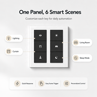 Prime Matter Interrupteur mural tactile en verre pour maison intelligente, panneau de commande intelligent avec contrôle de scène pour hôtels et villas