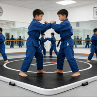 Colchoneta Inflable Portátil de Entrenamiento, Grado Profesional, 10x10 Pies, PVC, Resistente a la Humedad, para Gimnasio, Lucha Libre, BJJ, Todos los Artículos Certificados, China