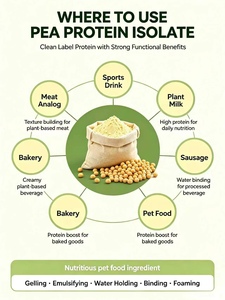 Proteine Isolate di Pisello Funzionali in Polvere con Buona Capacità Gelificante, Emulsionante <span class=keywords><strong>e</strong></span> Idroretentore per <span class=keywords><strong>Alimenti</strong></span> a Base Vegetale - Product Image 6