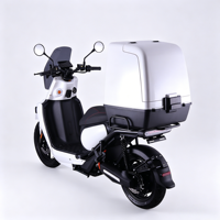 Scooter électrique de banlieue 80 km/h, autonomie 100 km, écran TFT, frein à disque CBS, usine certifiée ISO9001