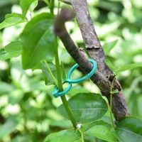 Clips de greffage pour tomates vertes HUAFU à prix d'usine, clips en plastique réglables de 10-15 mm, accessoires de jardin