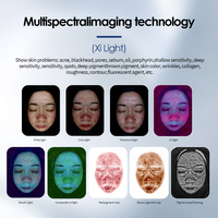 2025 Kes nouveau Portable 5D analyseur facial Al peau Scanner miroir magique Test d'humidité pour Salon EU US JP bouchons