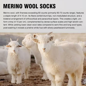 Offre Spéciale Logo personnalisé laine mérinos tricoté équipage <span class=keywords><strong>chaussettes</strong></span> respirant anti-dérapant extérieur hiver <span class=keywords><strong>Ski</strong></span> randonnée Sport <span class=keywords><strong>chaussettes</strong></span> pour les jeunes - Product Image 2