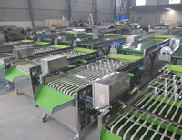 Vbjx Aardappelen Knoflook Kersenpruim Dadels Cashew Ananas Sorteermachine Sorteermachine Voor Groentefruit