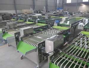 VBJX kentang bawang putih Cherry Plum tanggal Cashew nanas Sorter memilah mesin <span class=keywords><strong>Grading</strong></span> untuk sayuran buah