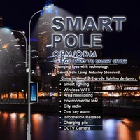Poste de Luz Inteligente de Doble Brazo de Alta Luminosidad para Carreteras Arteriales Principales en Ciudades Inteligentes, para Redes Viales Urbanas de Alta Demanda