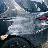 Fabricant chinois étanche non dégommage TPU PPF personnalisé 1.52*15m film de protection de peinture de voiture pour animaux de compagnie
