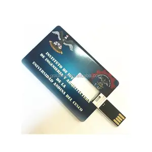 Kartun Sublimasi 1GB 2GB 4GB, Kartu Bisnis Flash Drive Usb, Kartu Memori Flash Usb, Kartu Kredit Usb