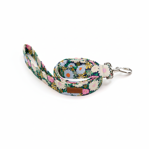 Correa Margarita - Product Image 1