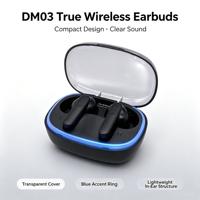 Écouteurs TWS OEM/ODM à moule privé V5.3, Écouteurs sans fil avec coque transparente, Stéréo véritable sans fil, Casque de jeu Type-C