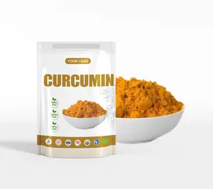 Hữu cơ nước hòa tan bổ sung Nano Curcumin nghệ chiết xuất 95% Curcumin bột