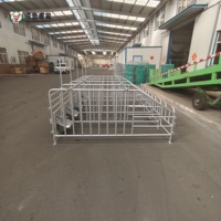 Fabricant d'équipements d'élevage porcin, vente directe d'usine, boxes pour truies en acier galvanisé, dimensions personnalisées, fournitures agricoles en gros