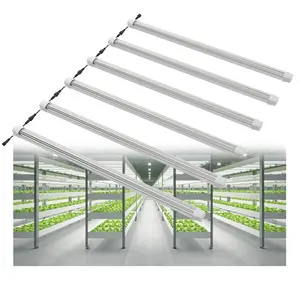 IP65 impermeabile Super alta PPFD Super efficienza LED coltiva luce T8 LED tubo per lattuga fragola erbe medicali piante