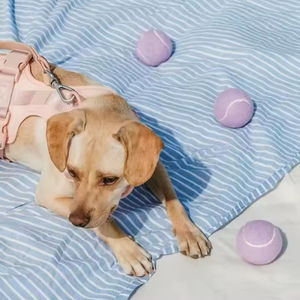 Ballon de sport interactif pour animaux de compagnie en caoutchouc à mâcher avec logo personnalisé en gros, ballon de tennis pour chien de petite taille - Product Image 2