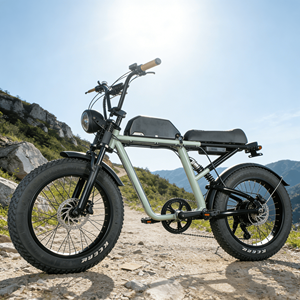 Vélo électrique puissant à pneus gras de 20 pouces pour adultes, 48V 750W, vélo électrique à pneus gras, suspension intégrale, vélo électrique hybride - Product Image 4