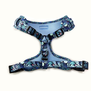Pettorina per Cani in PVC Ecologico Personalizzabile 2025, Pettorina Regolabile in Neoprene con Sublimazione e Guinzaglio Personalizzato - Product Image 4